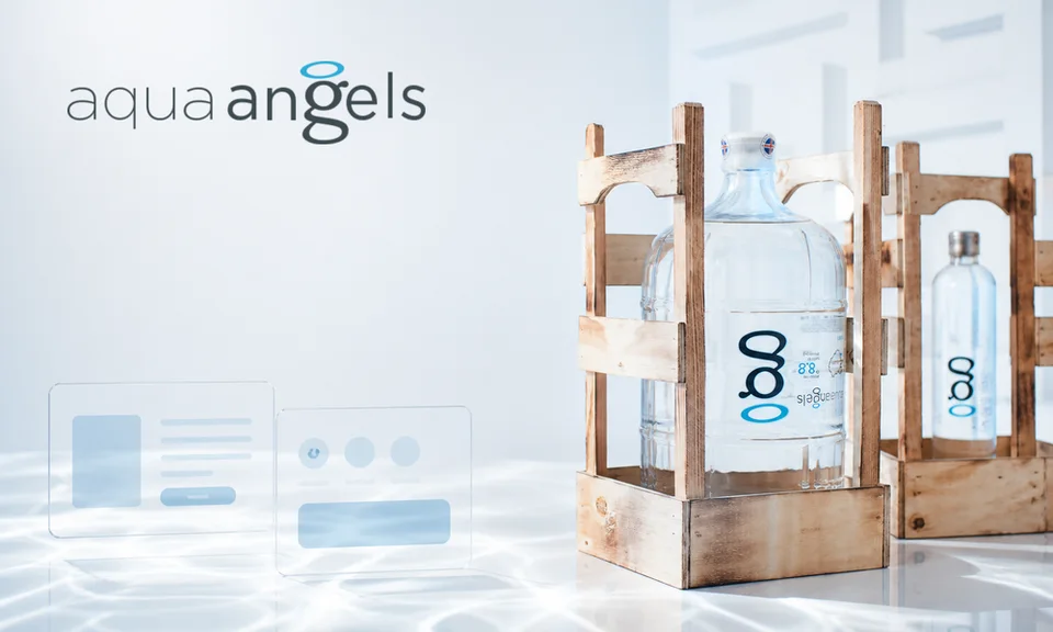 Обложка работы «Aqua Angels»
